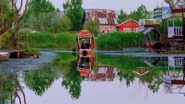 Dal lake Srinagar Kashmir