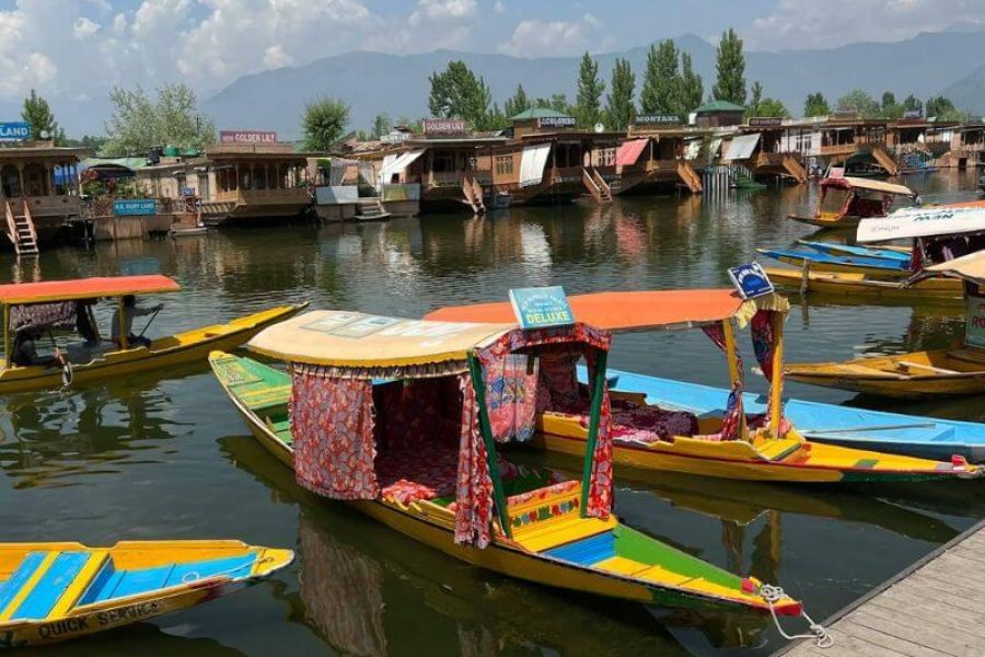 Shikara Ride In Dal lake