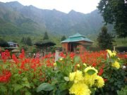 Cheshma Shahi Garden