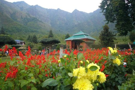 Cheshma Shahi Garden