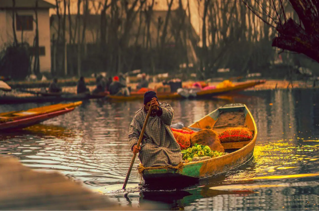 Shikara Riding in Dal lake