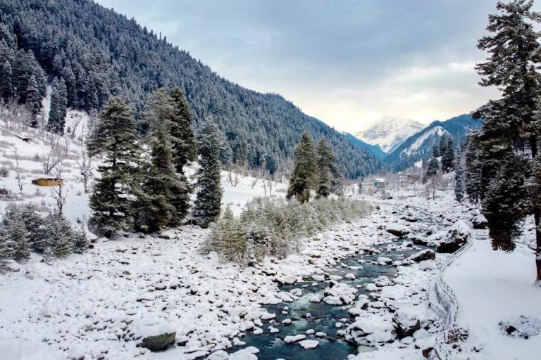 How to a Plan Honeymoon in Kashmir