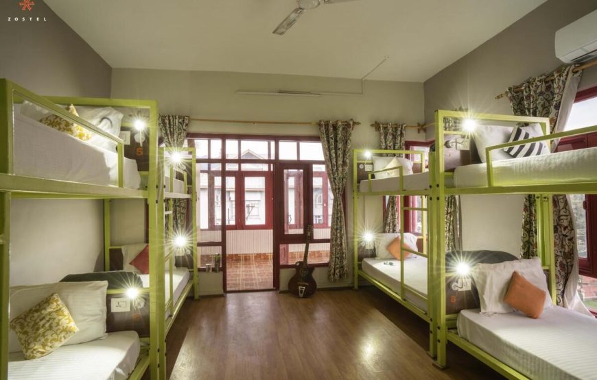 Hotel Zostel Srinagar | Best Hotel for Solo Travellers