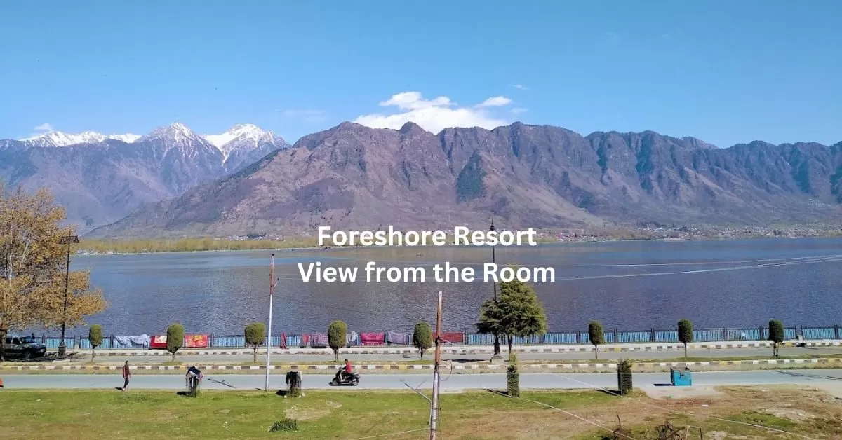 Foreshore Resort