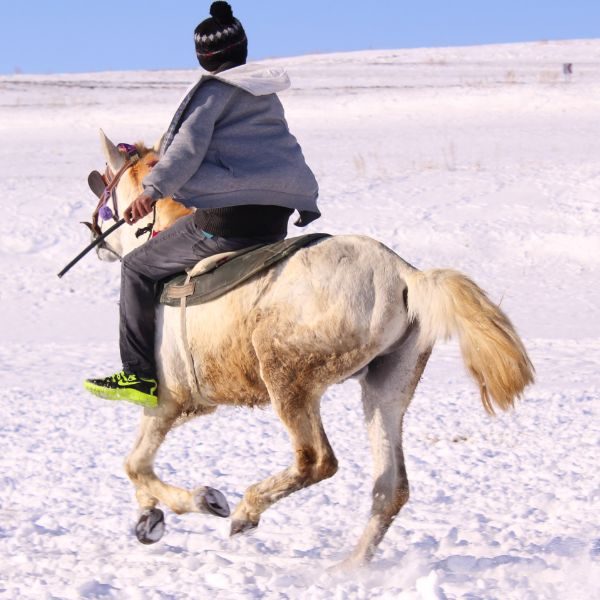 Horse Riding in Sinthan Top Kashmir