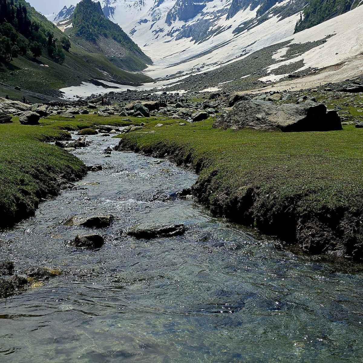 thajiwas glacier sonamarg