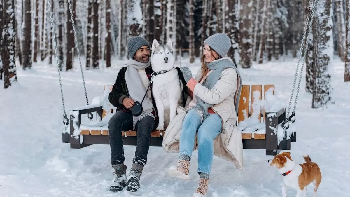 Is it Safe to Visit Kashmir in December