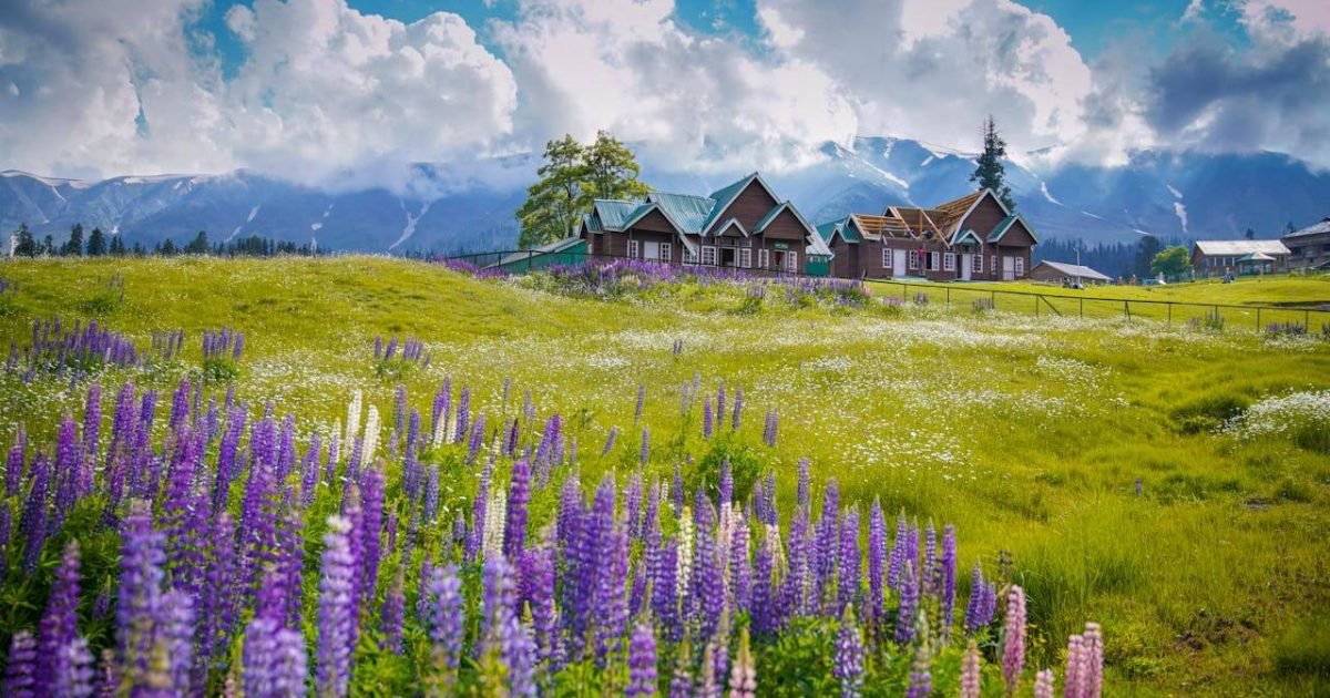 Best Time to Visit Gulmarg Best Time to Visit Gulmarg