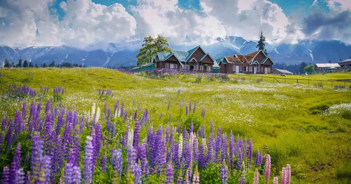Best Time to Visit Gulmarg