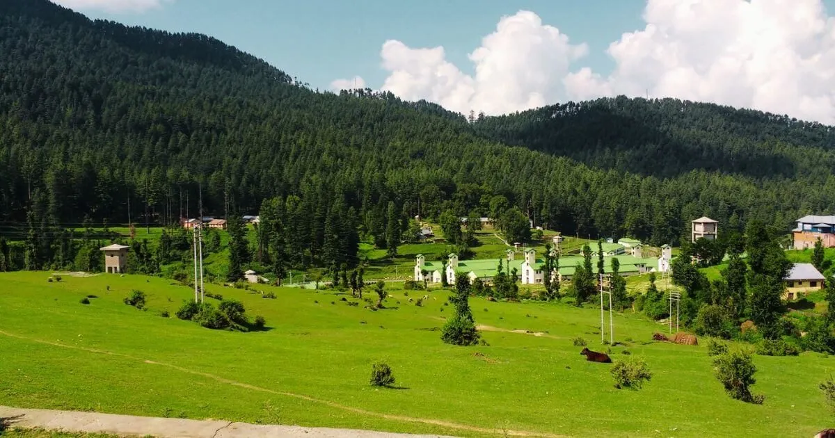 _Chinta Valley bhaderwah
