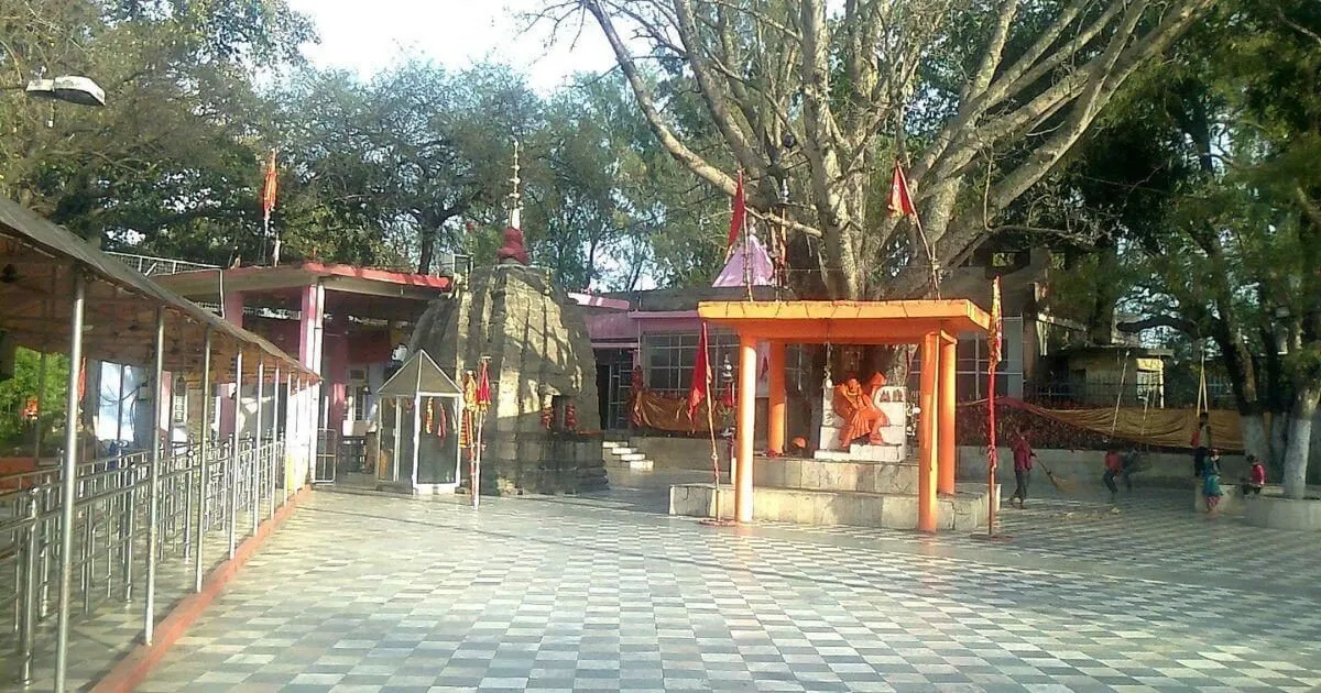 Nagrota (Kol Kandoli Temple) Nagrota (Kol Kandoli Temple)