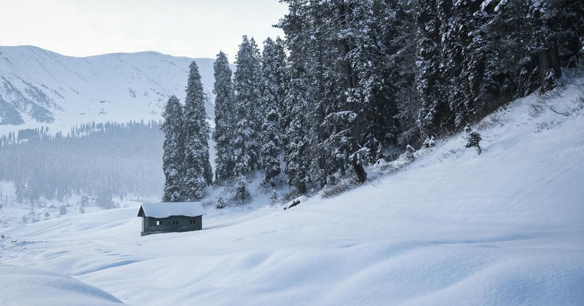 4 Nights 5 Days Kashmir Honeymoon 