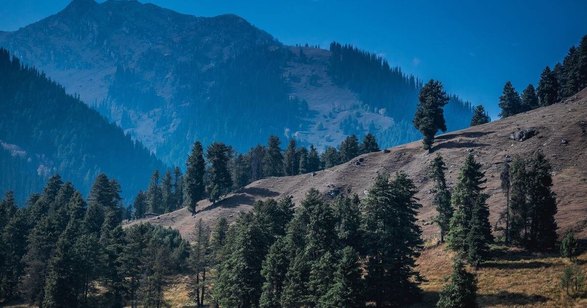 Kashmir Tour Package 8 Nights 9 days Starts 