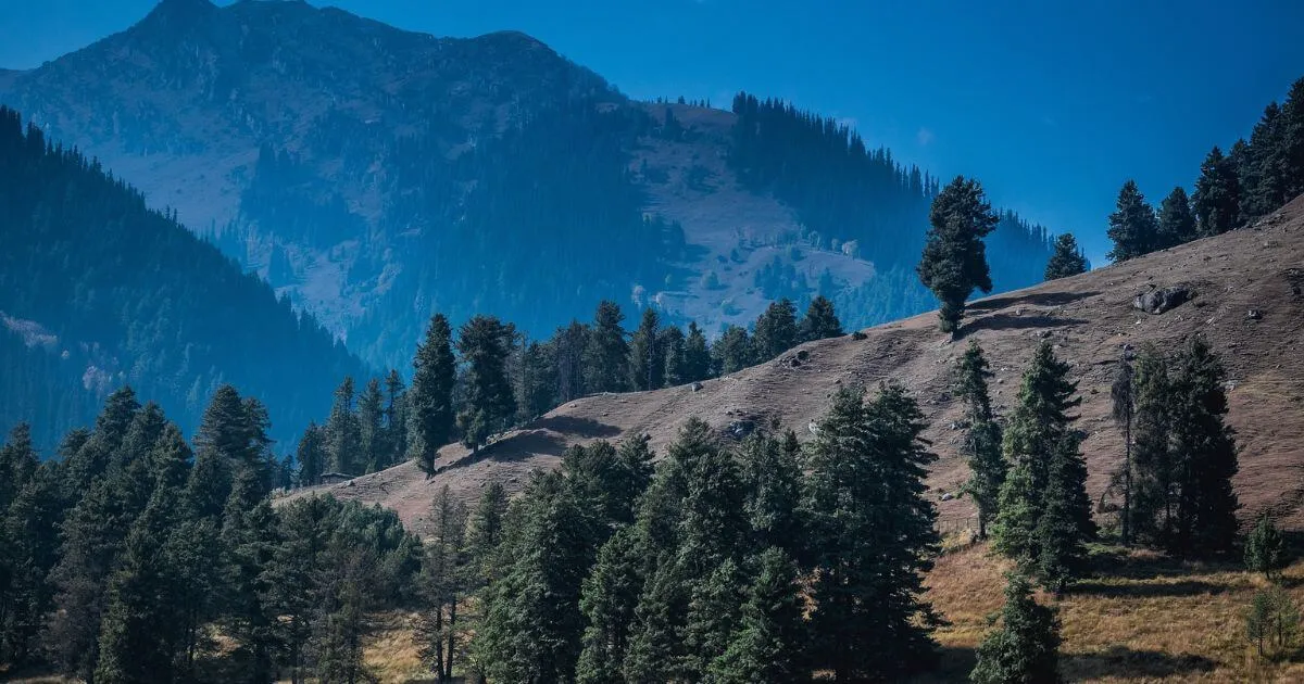 Kashmir Tour Package 8 Nights 9 days Starts