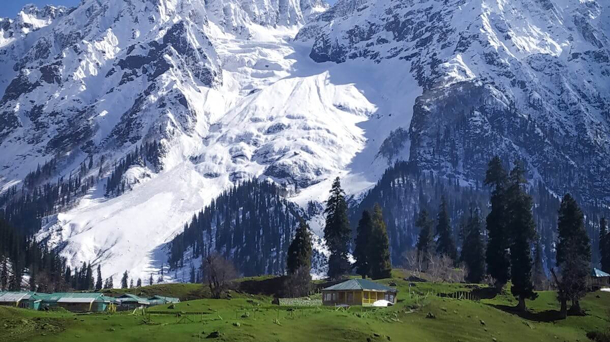 Kashmir Honeymoon Package for 7 Days 6 Nights