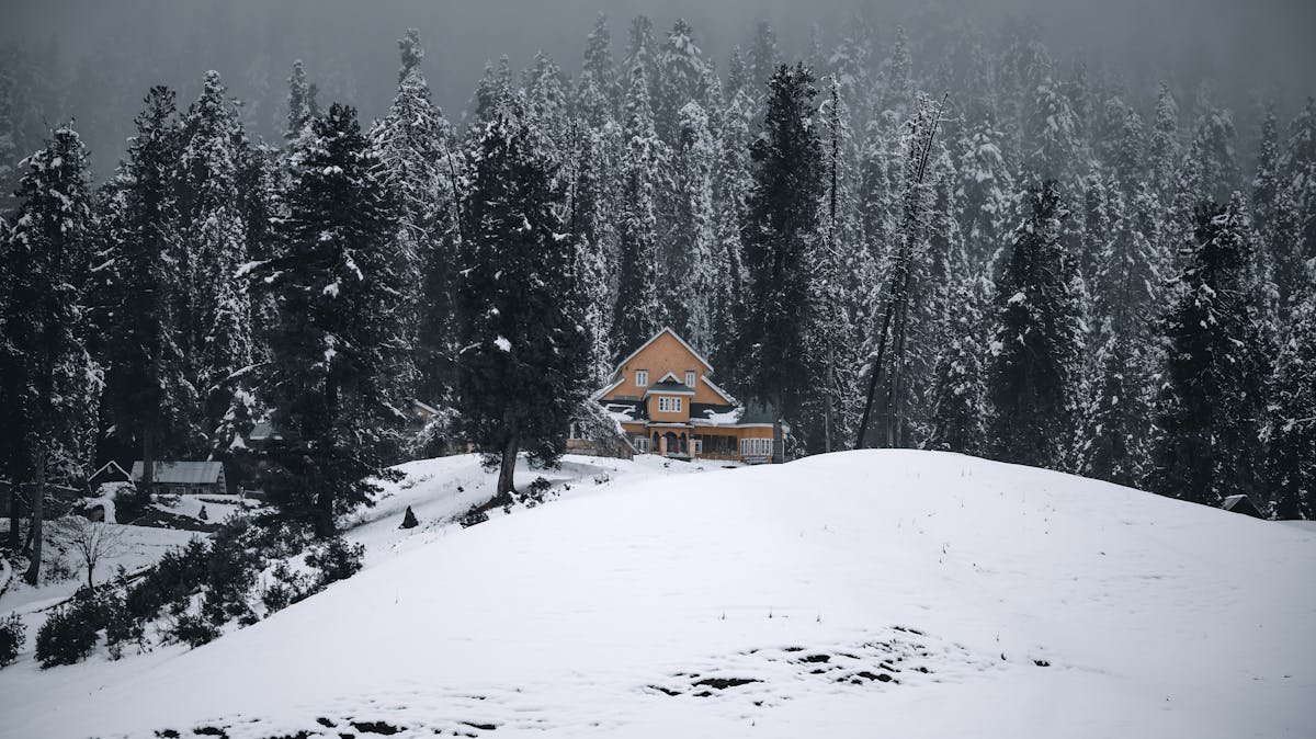 Kashmir Honeymoon Package for 7 Days 6 Nights