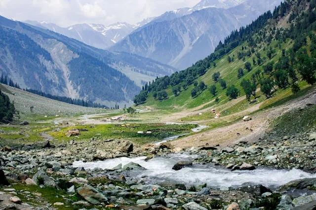 Kashmir Tour Package for 10 nights 11 days