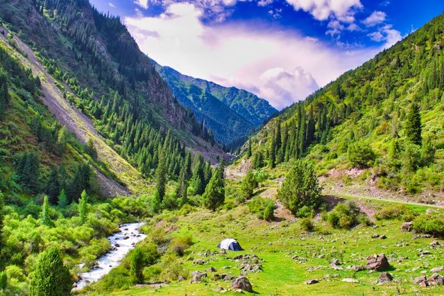 Most Affordable Kashmir Tour Packages Starting from Just ₹8000 – Book Now!