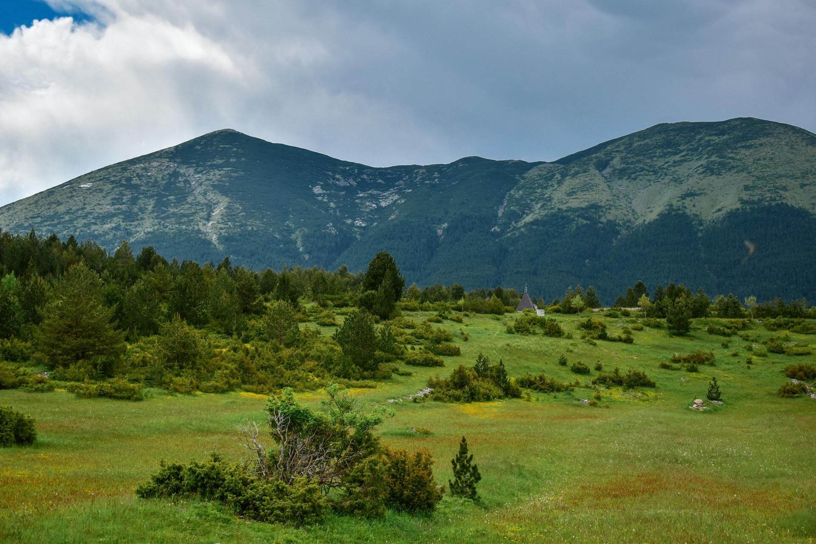 august_kashmir_tour_packages