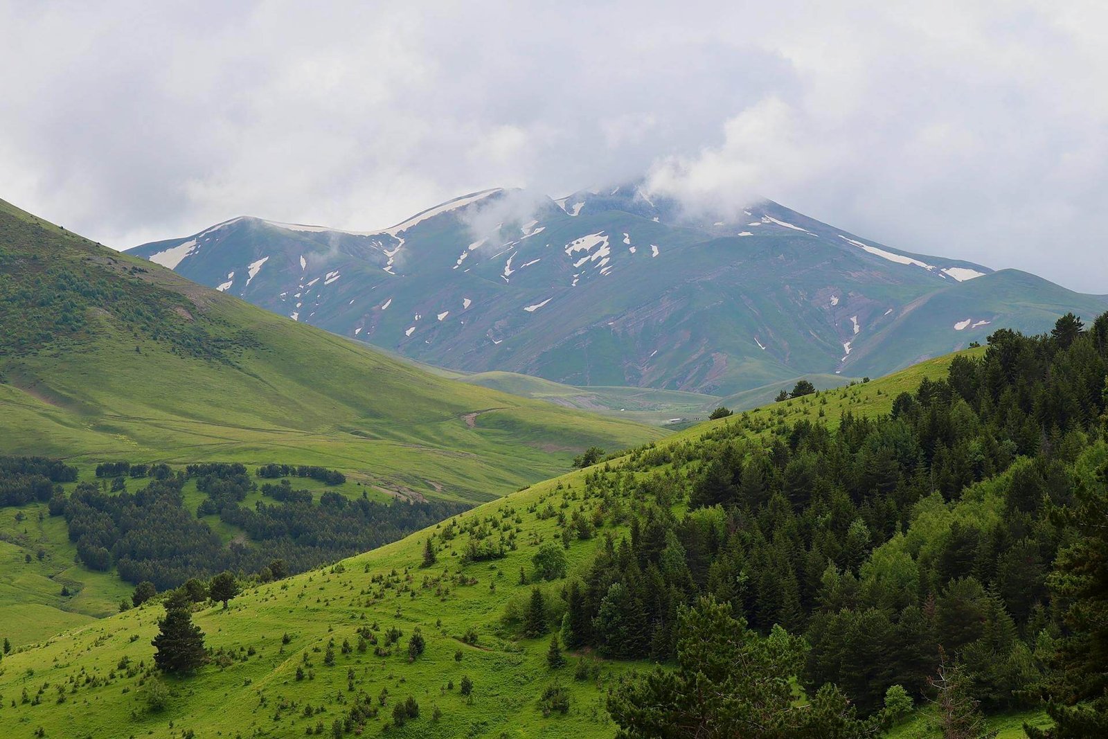 Kashmir Tour Packages in August