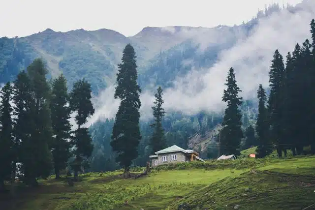 kashmir tour package 14 days 13 Nights