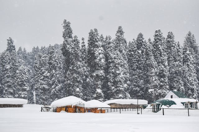 kashmir tour packages in december