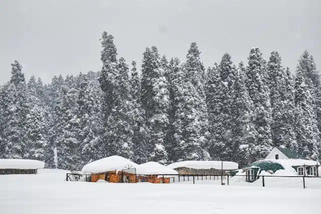 kashmir tour packages in december