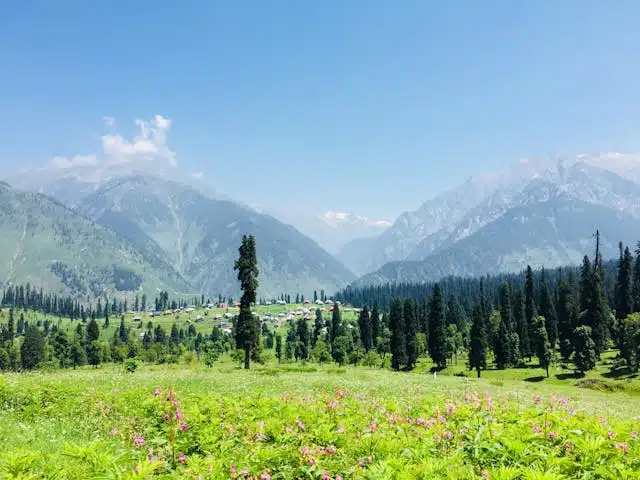 Kashmir Tour Packages in October