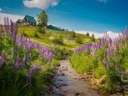 Kashmir Tour Package 5 Nights 6 Days