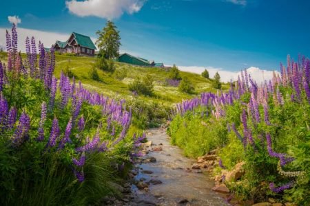 Kashmir Tour Package 5 Nights 6 Days