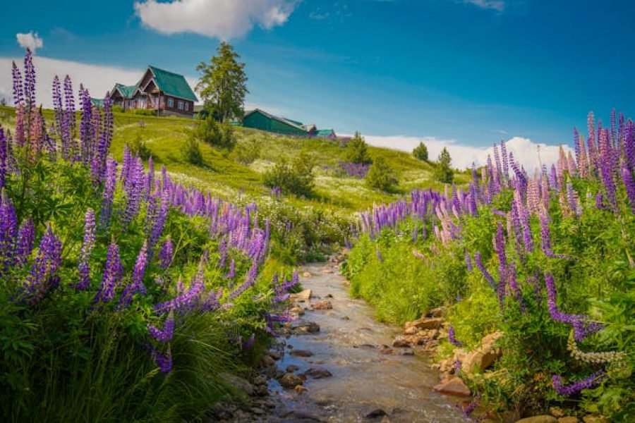 Kashmir Tour Package 5 Nights 6 Days